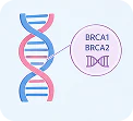 Have been told you carry a BRCA1 or BRCA2 gene