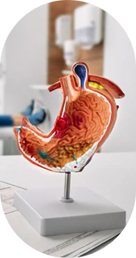 Gastroenterology clinic at LIPS Healthcare (placeholder)