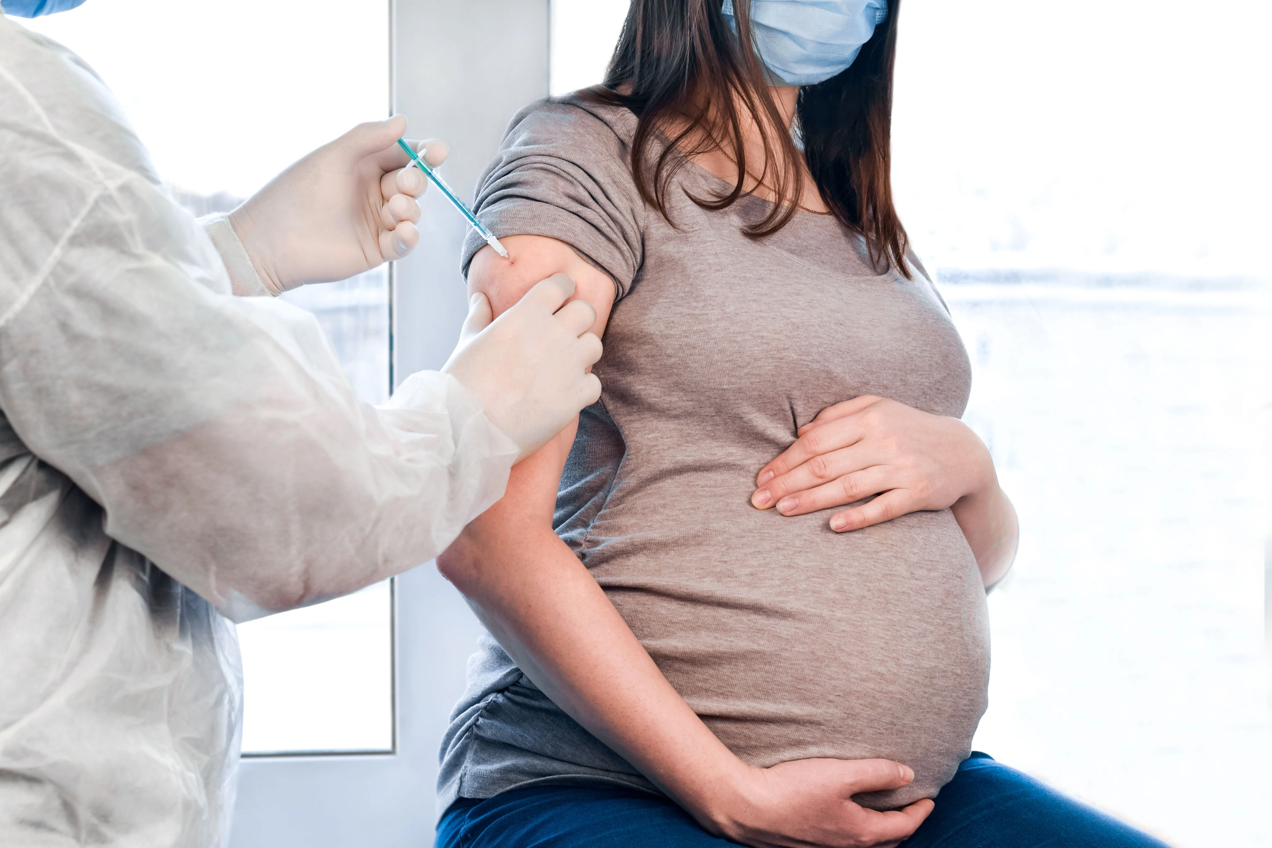 How menopause changes the gut microbiome