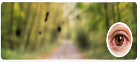 Diabetic retinopathy