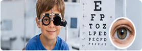 Normal Neuro Ophthalmology